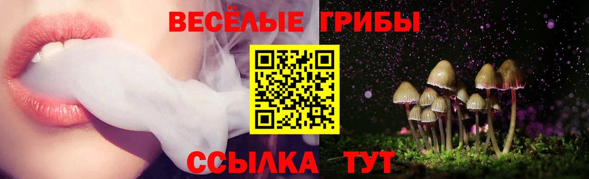 Кстово  Псилоцибиновые грибы ЛСД  Псилоцибиновые грибы Cubensis  Вход с VPN 